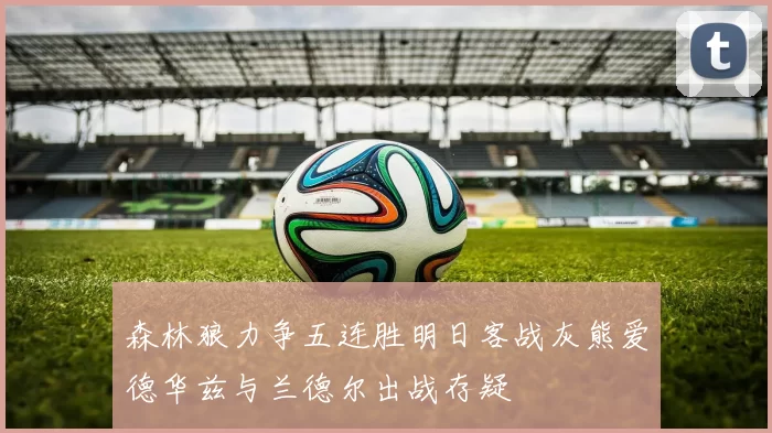 森林狼力争五连胜明日客战灰熊爱德华兹与兰德尔出战存疑