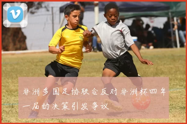 非洲多国足协联合反对非洲杯四年一届的决策引发争议